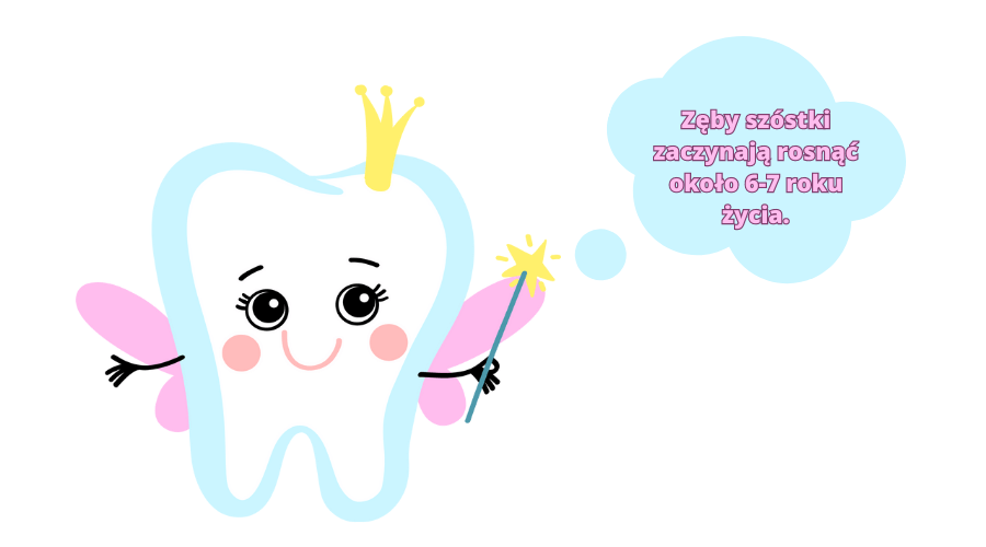 zęby szóstki zaczynają rosnąć około 6-7 roku życia