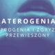 laterogenia