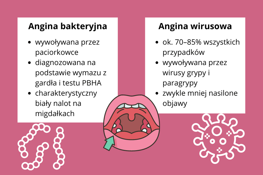 Angina bakteryjna:
- wywoływana przez paciorkowce
- diagnozowana na podstawie wymazu z gardła i testu PBHA
- charakterystyczny biały nalot na migdałkach
Angina wirusowa:
- ok. 70–85% wszystkich przypadków
- wywoływana przez wirusy grypy i paragrypy
- zwykle mniej nasilone objawy